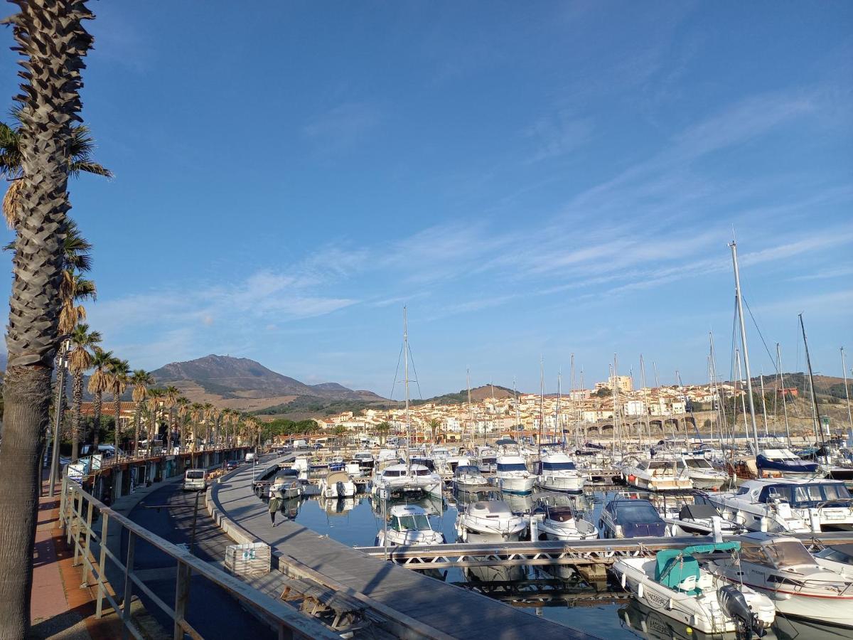 "Villa Llum I Mar", Au Coeur De Banyuls Sur Mer, 3 Chambres Avec Climatisation, 2 Sdb, Garage,6 Personnes, Classee 3 Etoiles Extérieur photo